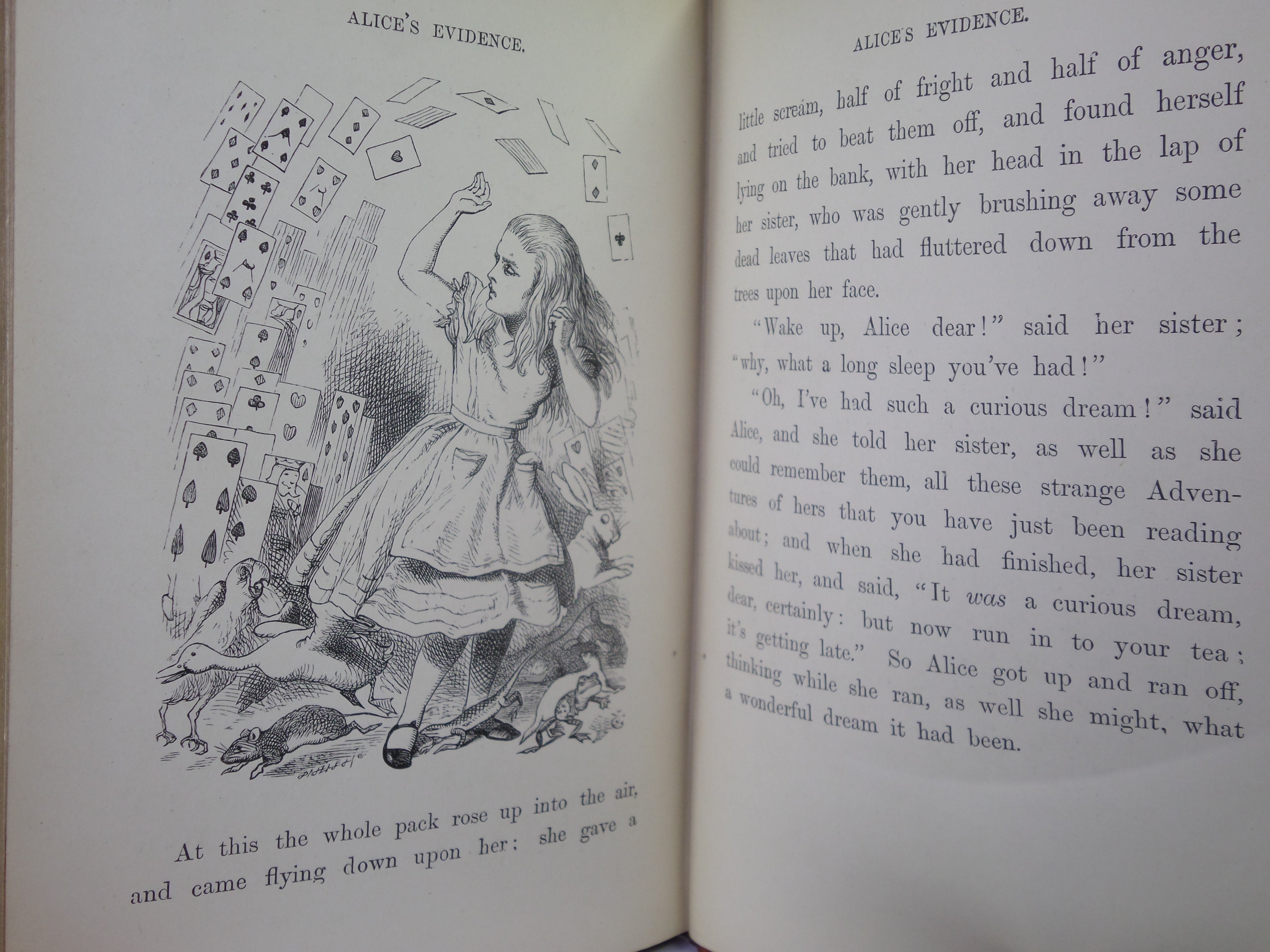 ALICE'S ADVENTURES IN WONDERLAND BY LEWIS CARROLL 1884