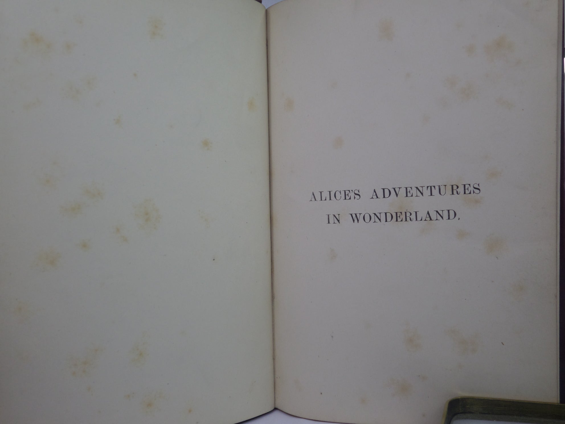 ALICE'S ADVENTURES IN WONDERLAND BY LEWIS CARROLL 1876