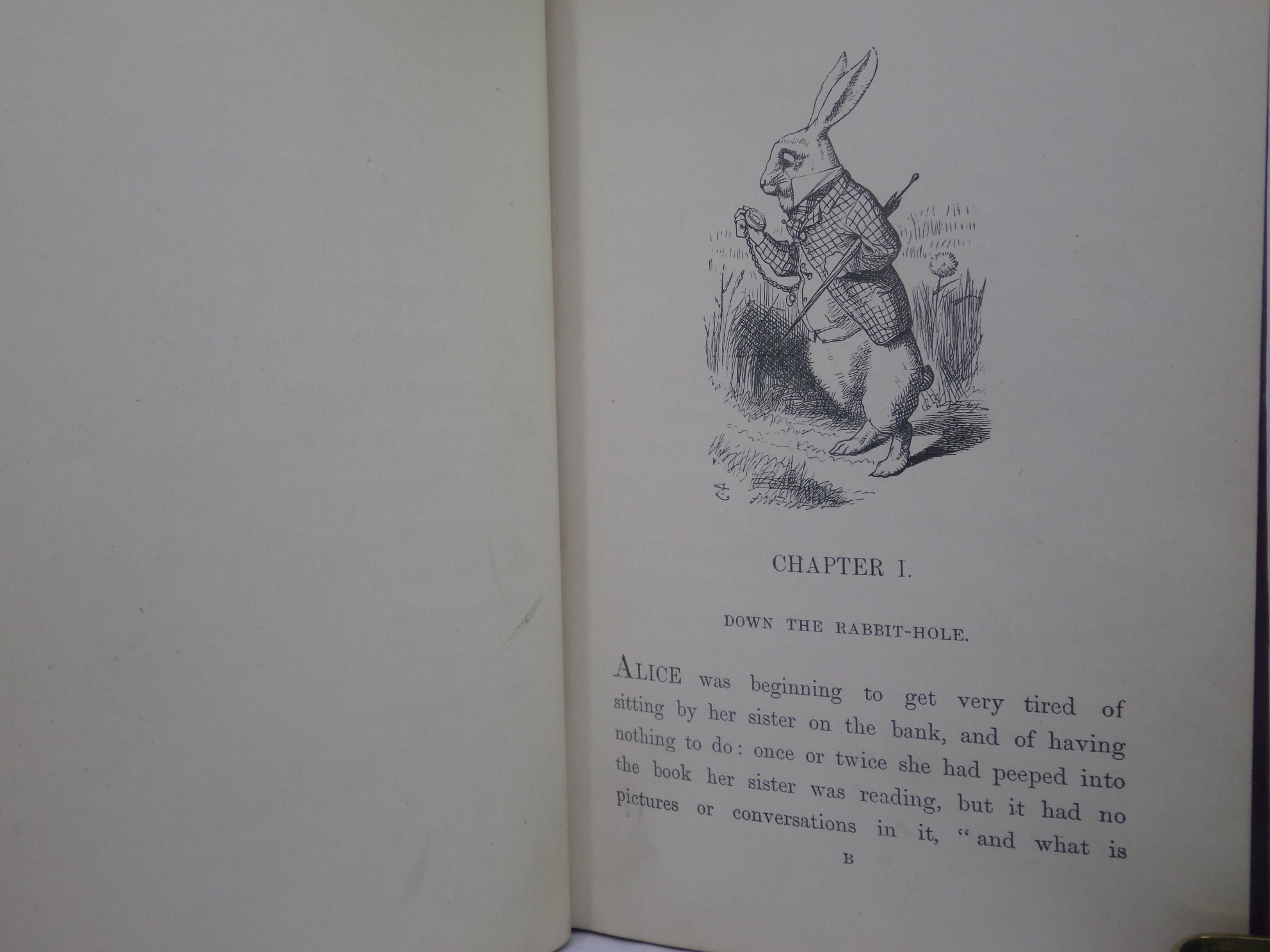 ALICE'S ADVENTURES IN WONDERLAND BY LEWIS CARROLL 1876