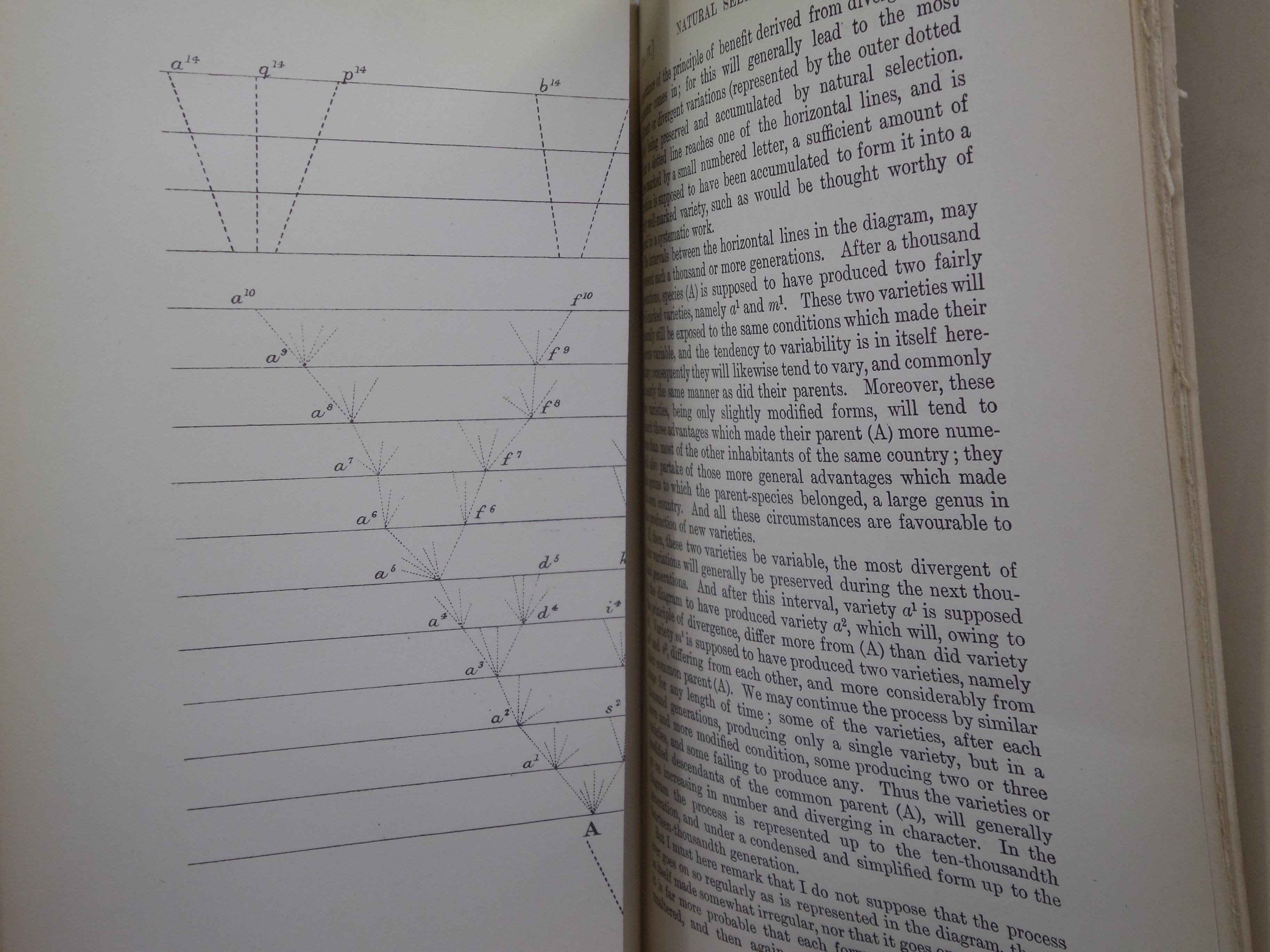 THE ORIGIN OF SPECIES BY MEANS OF NATURAL SELECTION BY CHARLES DARWIN 1897