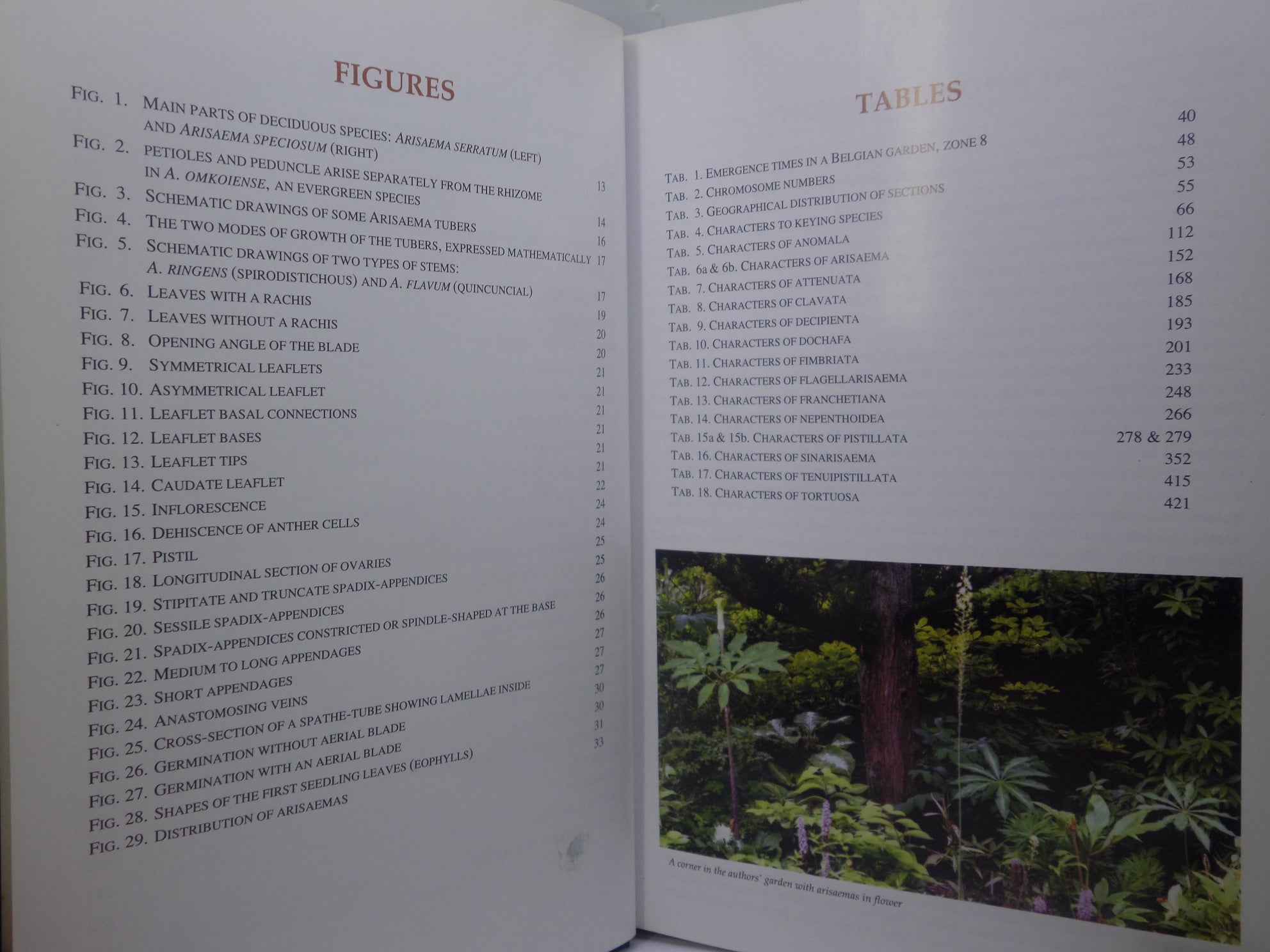 THE GENUS ARISAEMA: A MONOGRAPH FOR BOTANISTS AND NATURE LOVERS BY GUY GUSMAN 2006