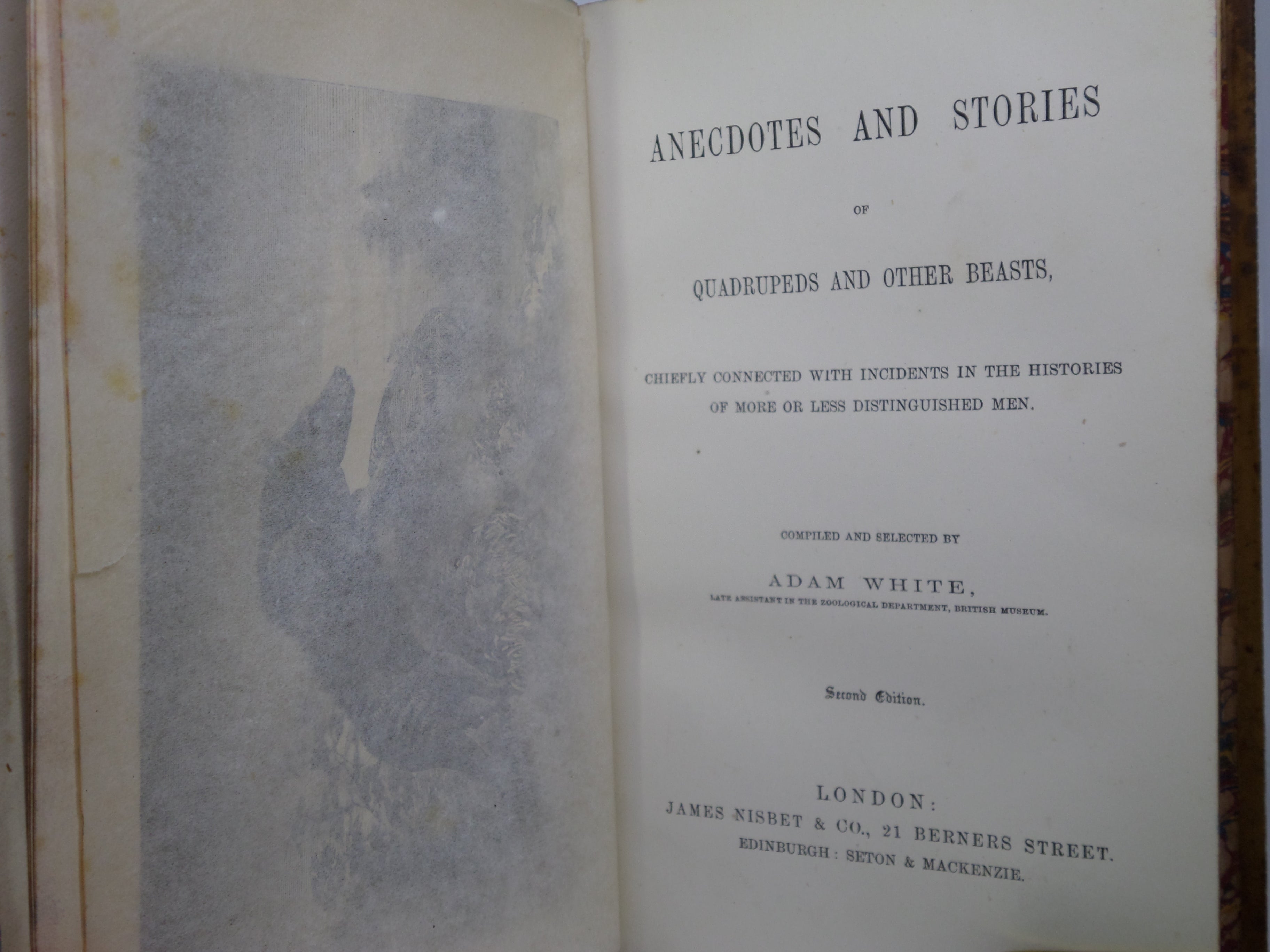 ANECDOTES AND STORIES OF QUADRUPEDS AND OTHER BEASTS BY ADAM WHITE C.1870 LEATHER BINDING