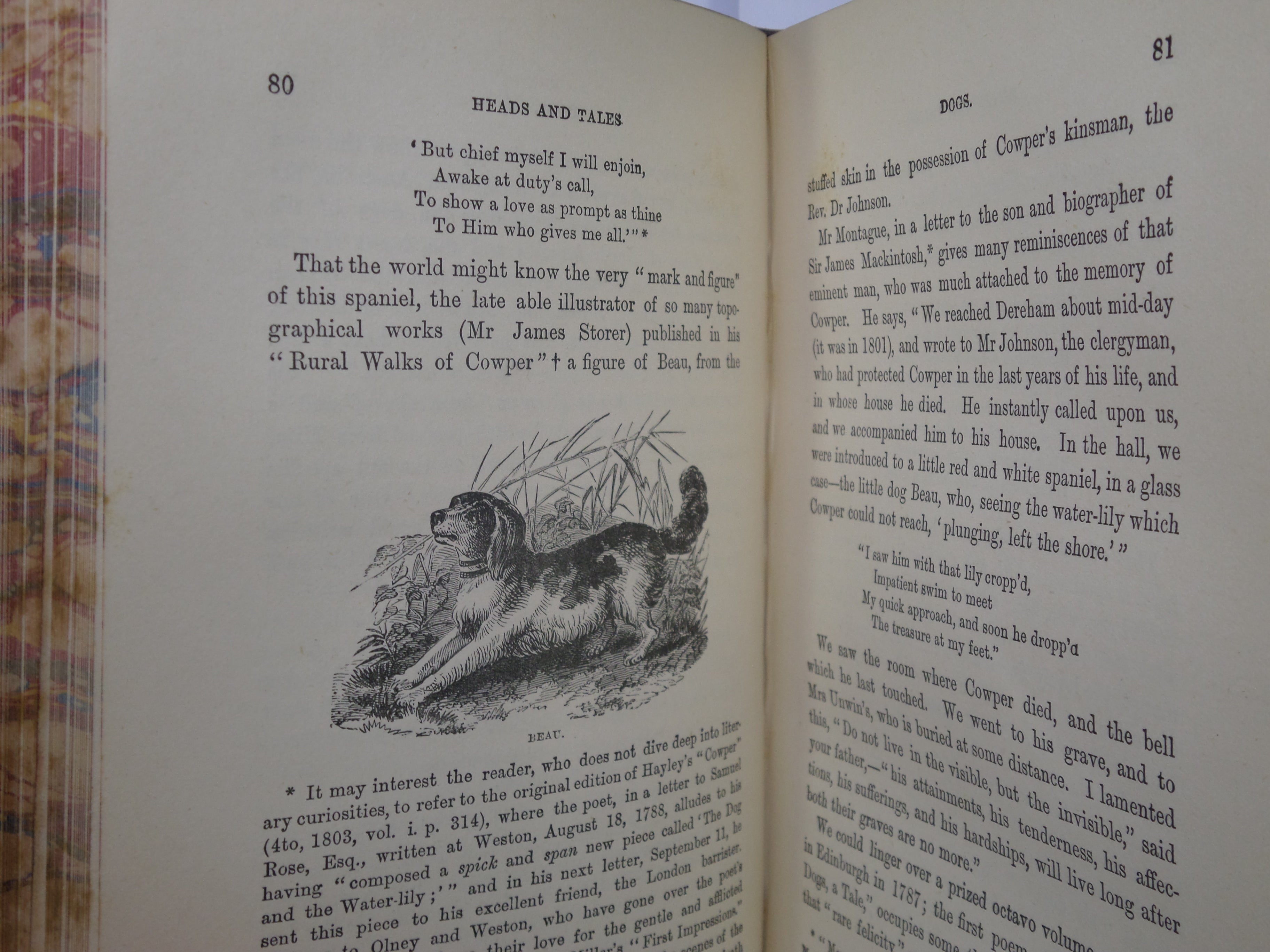 ANECDOTES AND STORIES OF QUADRUPEDS AND OTHER BEASTS BY ADAM WHITE C.1870 LEATHER BINDING