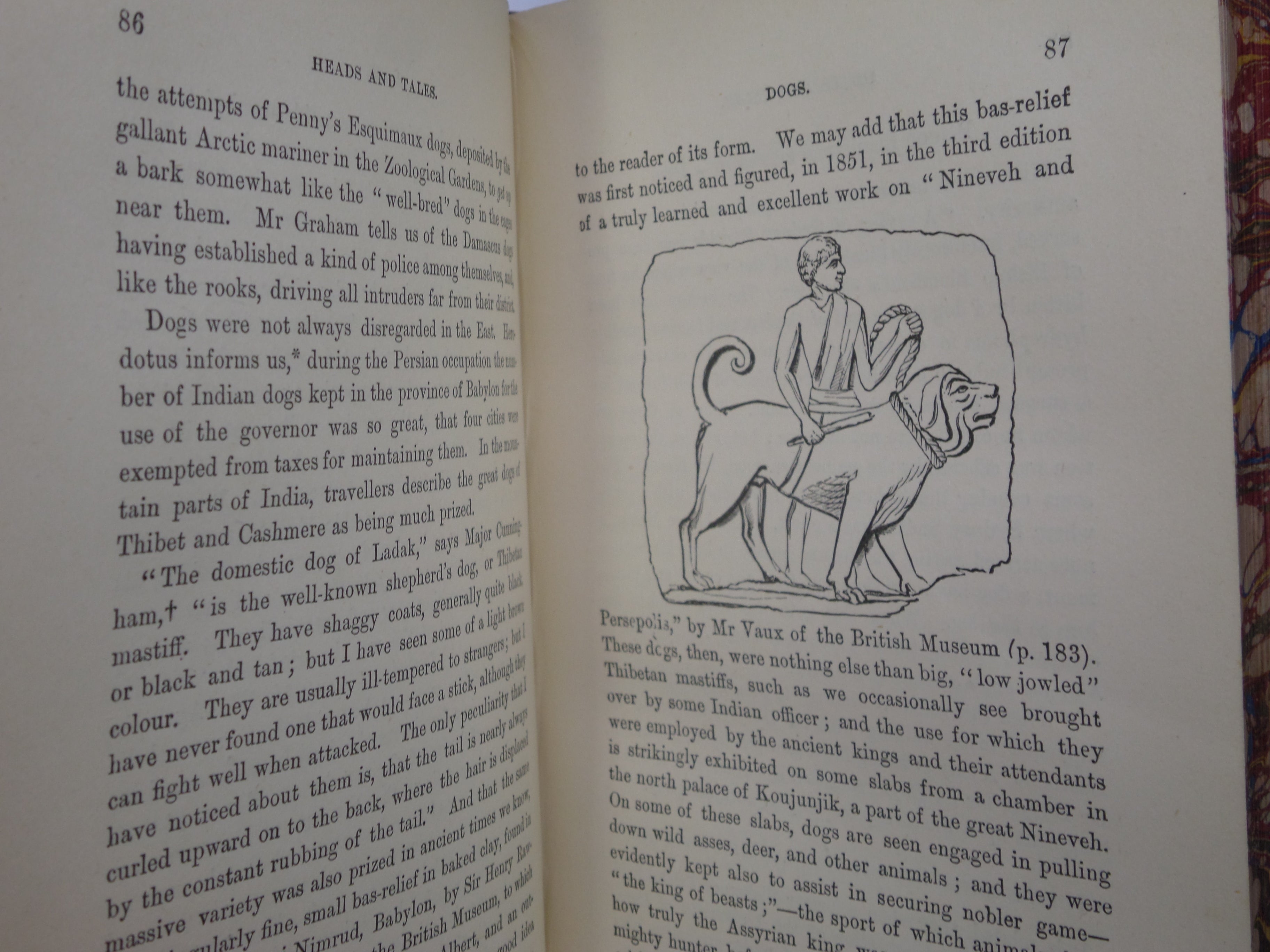 ANECDOTES AND STORIES OF QUADRUPEDS AND OTHER BEASTS BY ADAM WHITE C.1870 LEATHER BINDING