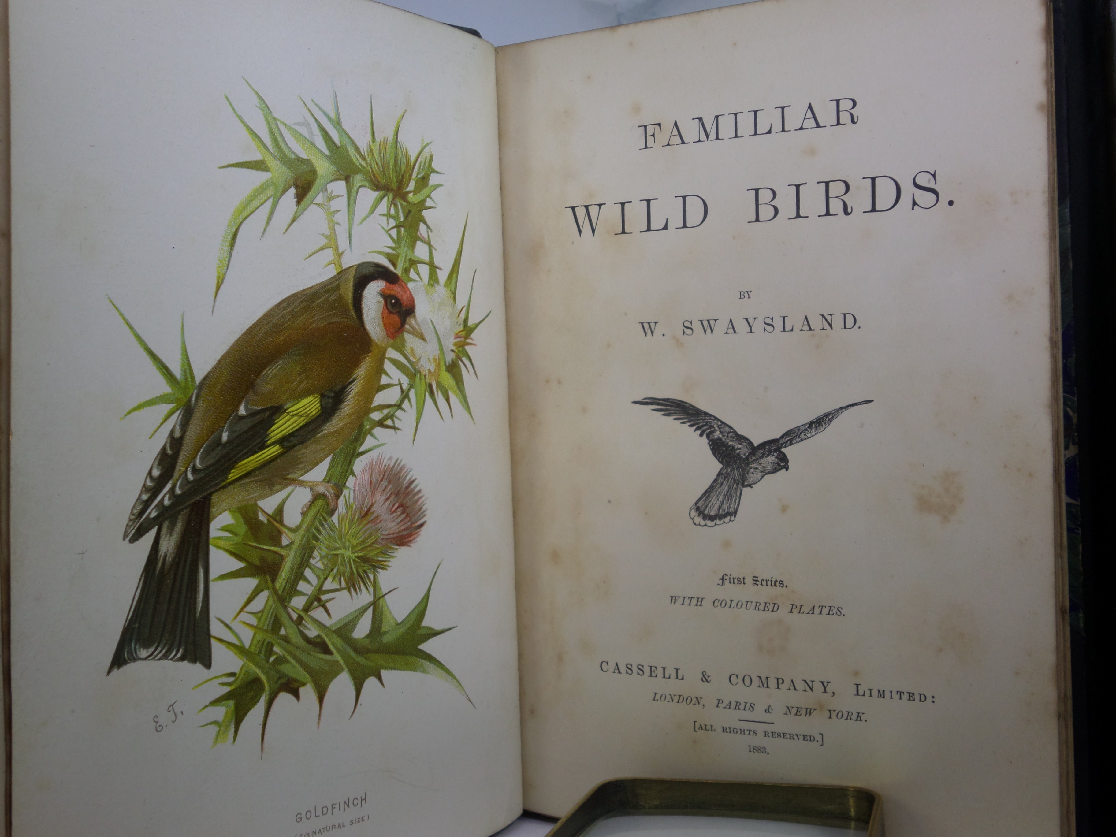 FAMILIAR WILD BIRDS BY WALTER SWAYSLAND 1883 FIRST EDITION LEATHER-BOUND IN FOUR VOLUMES