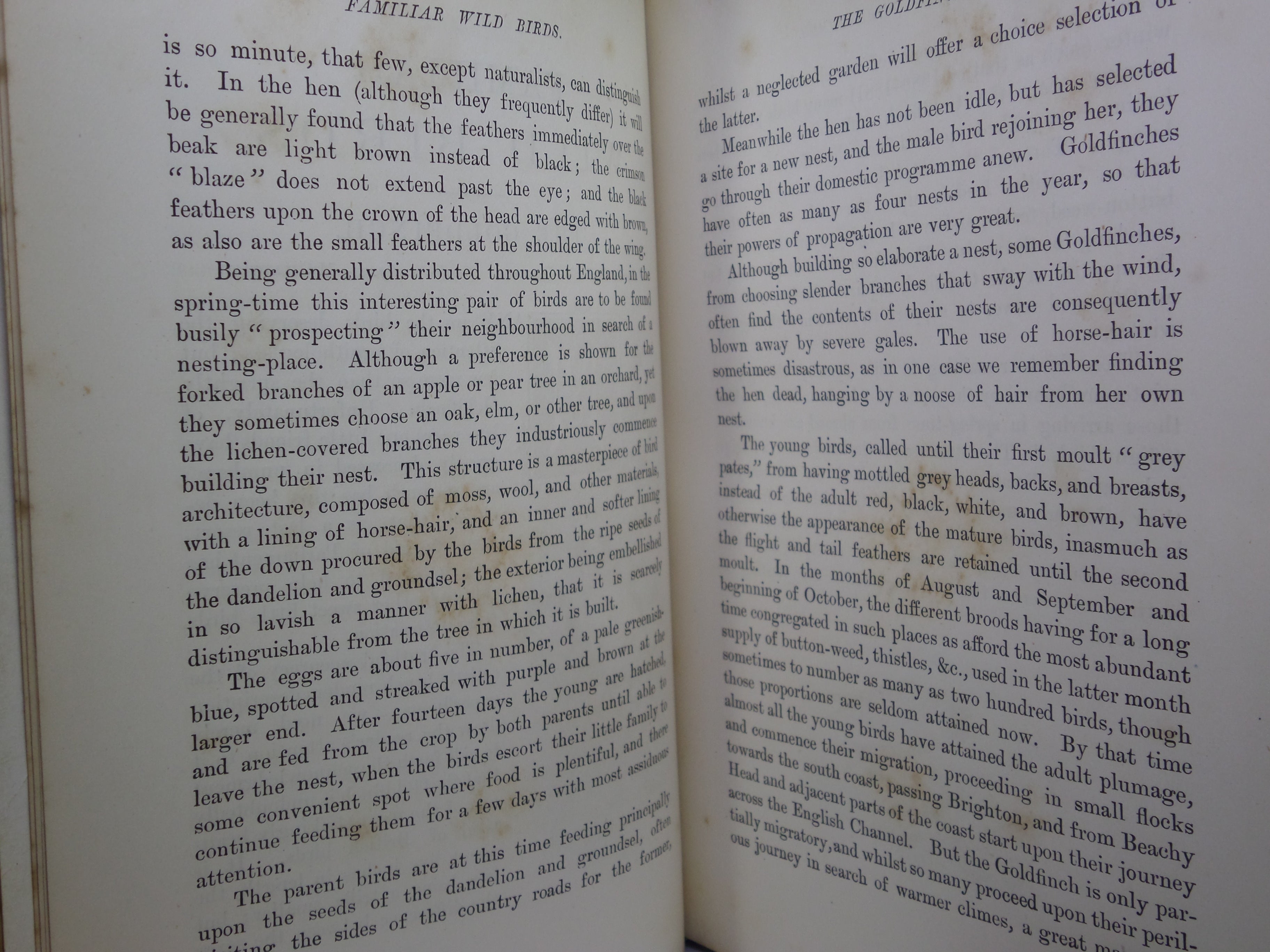 FAMILIAR WILD BIRDS BY WALTER SWAYSLAND 1883 FIRST EDITION LEATHER-BOUND IN FOUR VOLUMES