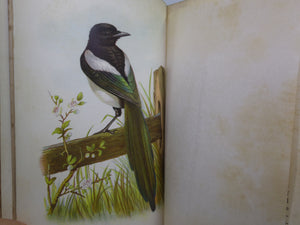 FAMILIAR WILD BIRDS BY WALTER SWAYSLAND 1883 FIRST EDITION LEATHER-BOUND IN FOUR VOLUMES