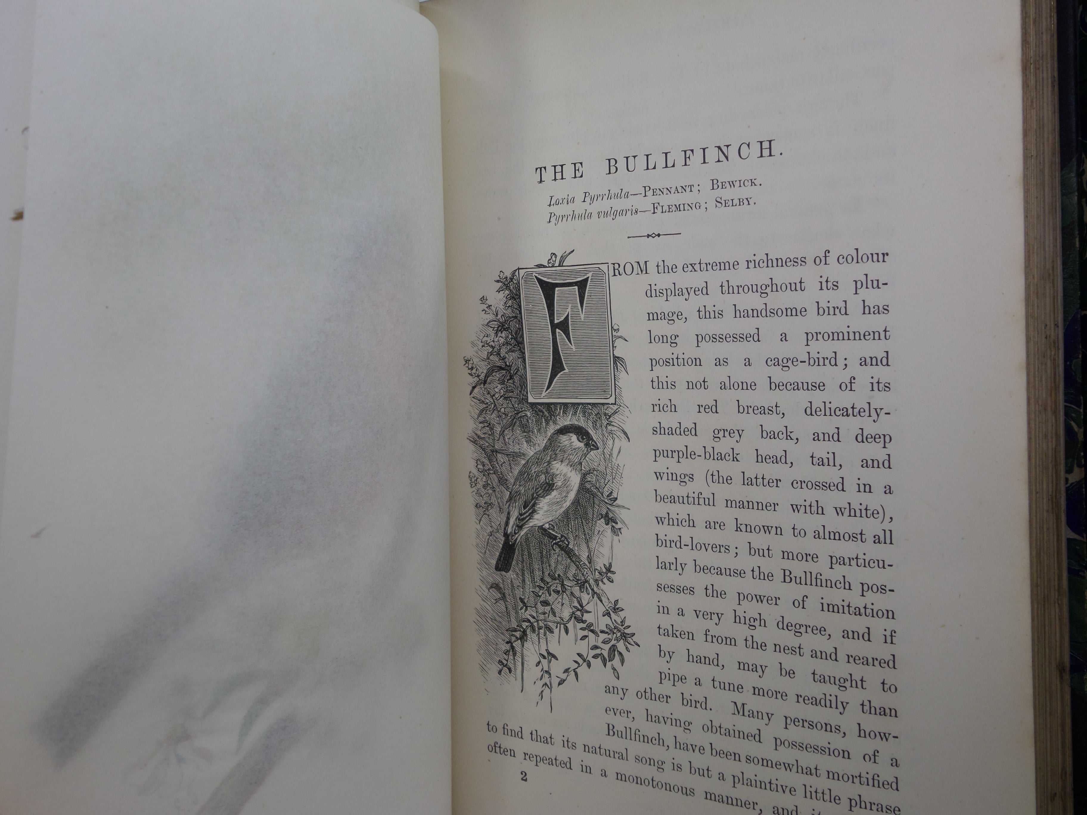 FAMILIAR WILD BIRDS BY WALTER SWAYSLAND 1883 FIRST EDITION LEATHER-BOUND IN FOUR VOLUMES