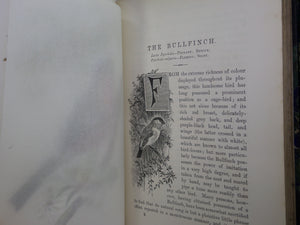 FAMILIAR WILD BIRDS BY WALTER SWAYSLAND 1883 FIRST EDITION LEATHER-BOUND IN FOUR VOLUMES