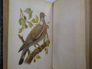 FAMILIAR WILD BIRDS BY WALTER SWAYSLAND 1883 FIRST EDITION LEATHER-BOUND IN FOUR VOLUMES