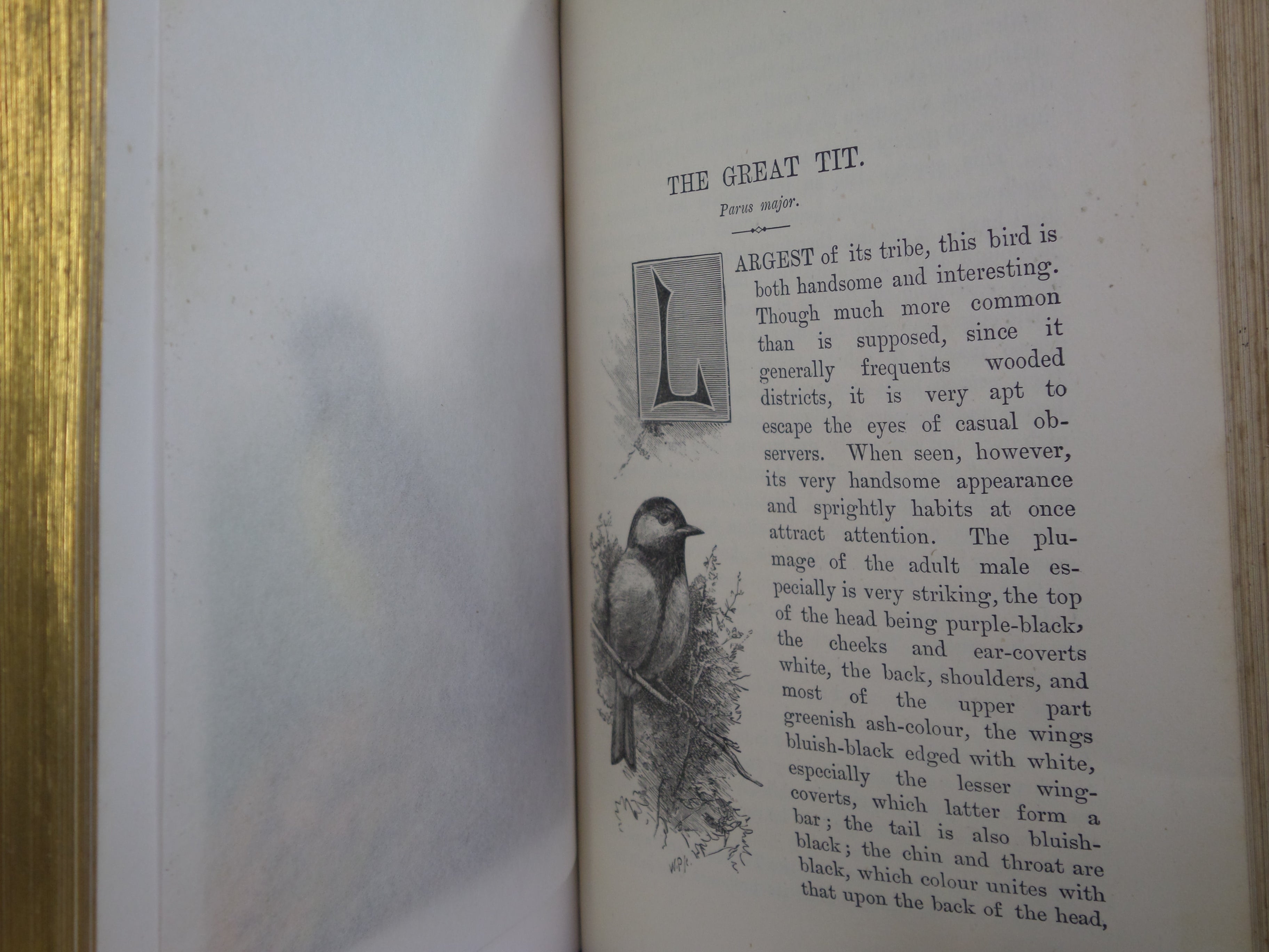 FAMILIAR WILD BIRDS BY WALTER SWAYSLAND 1883 FIRST EDITION LEATHER-BOUND IN FOUR VOLUMES