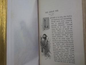 FAMILIAR WILD BIRDS BY WALTER SWAYSLAND 1883 FIRST EDITION LEATHER-BOUND IN FOUR VOLUMES