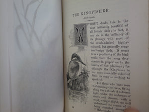 FAMILIAR WILD BIRDS BY WALTER SWAYSLAND 1883 FIRST EDITION LEATHER-BOUND IN FOUR VOLUMES