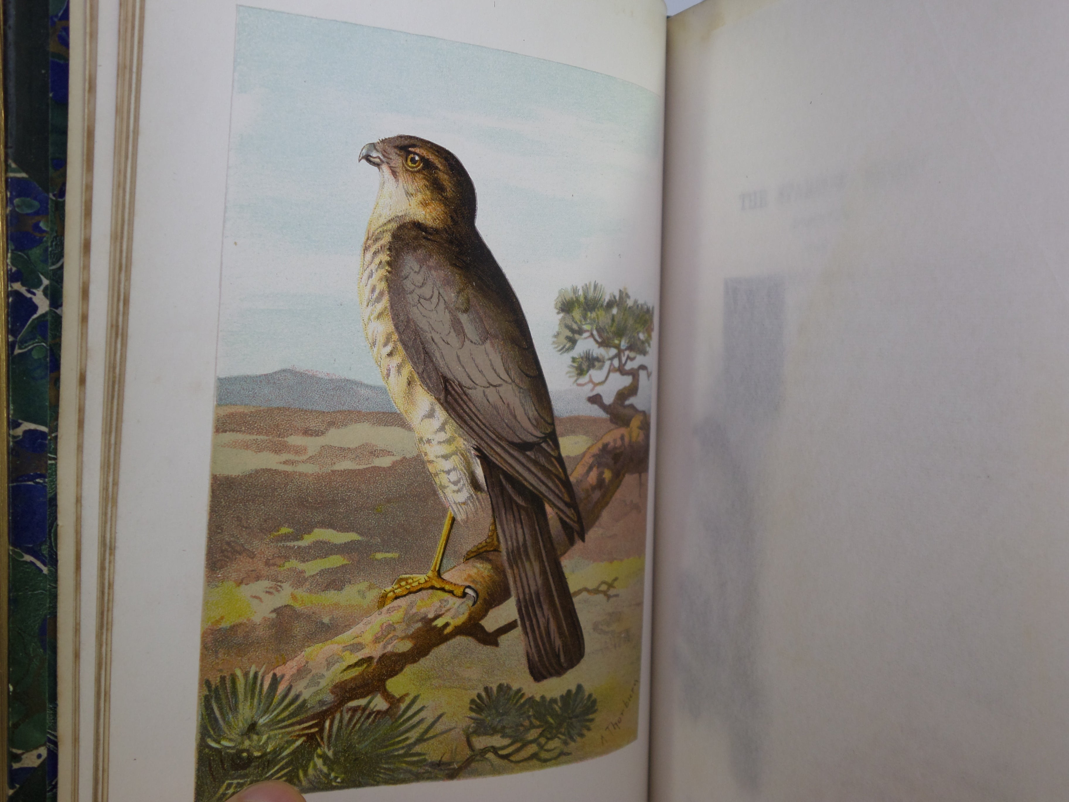 FAMILIAR WILD BIRDS BY WALTER SWAYSLAND 1883 FIRST EDITION LEATHER-BOUND IN FOUR VOLUMES