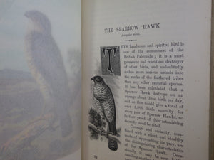 FAMILIAR WILD BIRDS BY WALTER SWAYSLAND 1883 FIRST EDITION LEATHER-BOUND IN FOUR VOLUMES