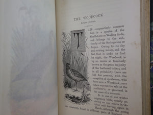 FAMILIAR WILD BIRDS BY WALTER SWAYSLAND 1883 FIRST EDITION LEATHER-BOUND IN FOUR VOLUMES