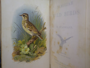 FAMILIAR WILD BIRDS BY WALTER SWAYSLAND 1883 FIRST EDITION LEATHER-BOUND IN FOUR VOLUMES