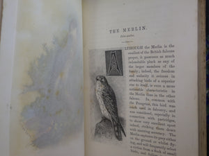 FAMILIAR WILD BIRDS BY WALTER SWAYSLAND 1883 FIRST EDITION LEATHER-BOUND IN FOUR VOLUMES