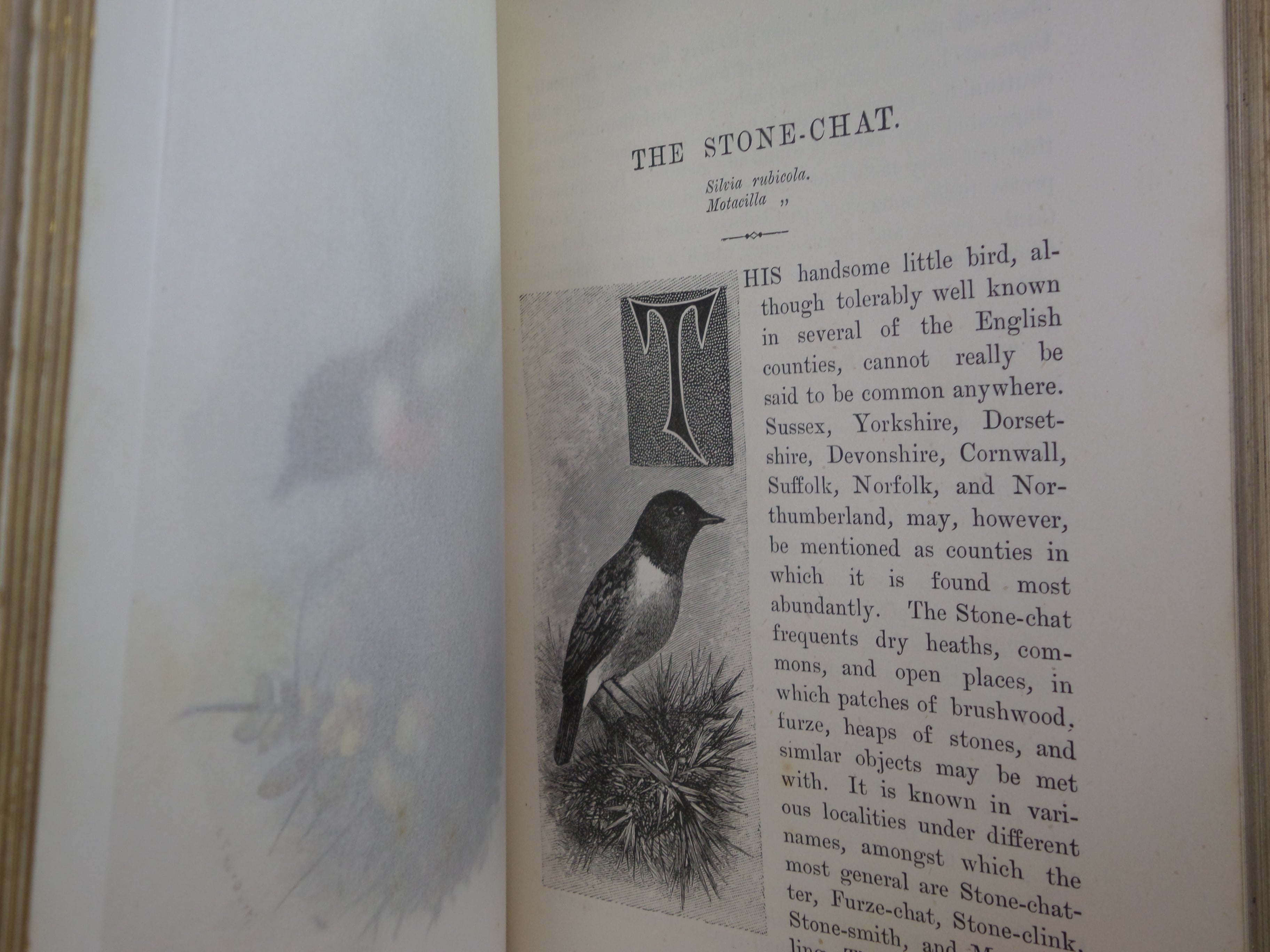 FAMILIAR WILD BIRDS BY WALTER SWAYSLAND 1883 FIRST EDITION LEATHER-BOUND IN FOUR VOLUMES