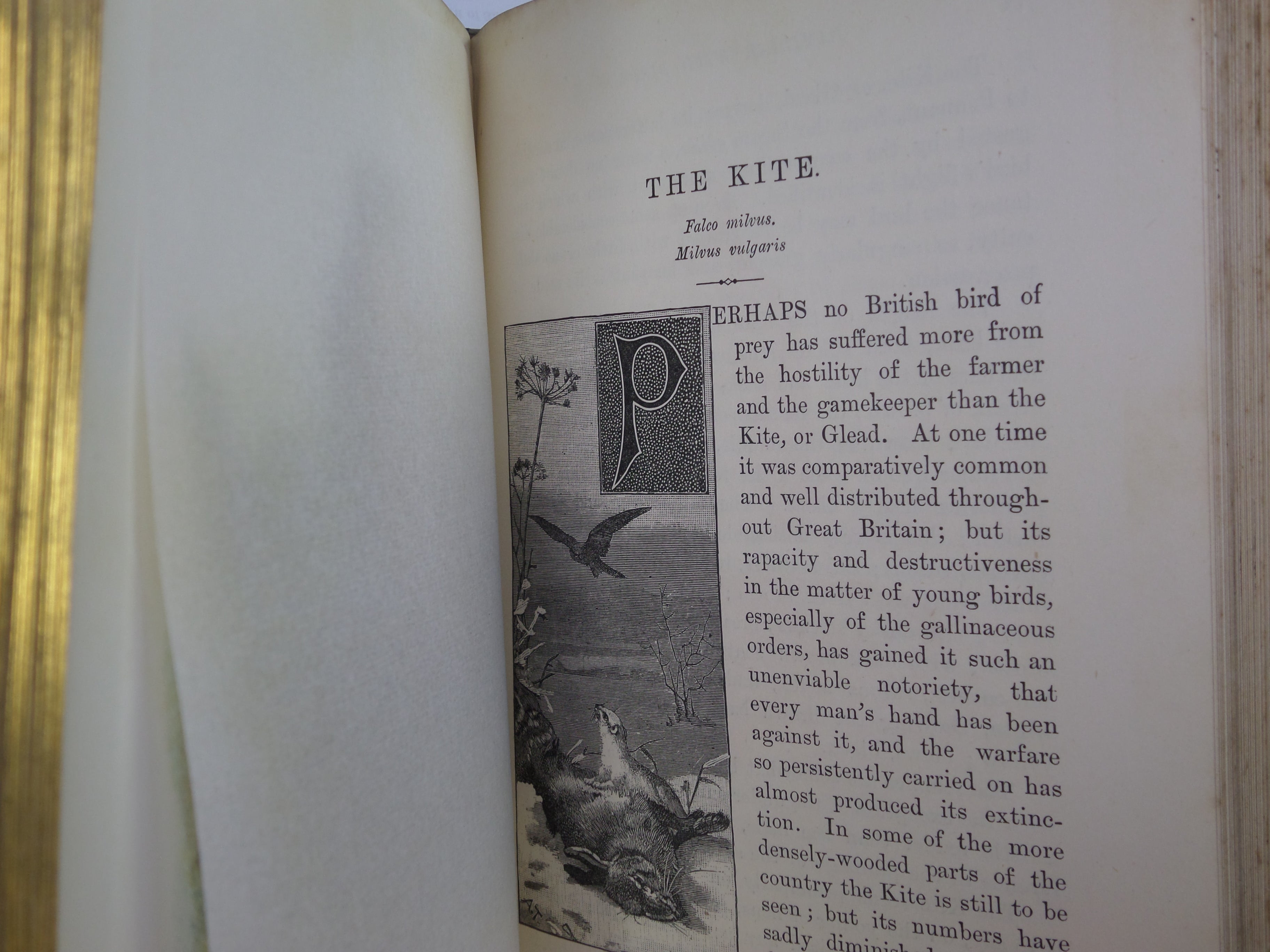 FAMILIAR WILD BIRDS BY WALTER SWAYSLAND 1883 FIRST EDITION LEATHER-BOUND IN FOUR VOLUMES