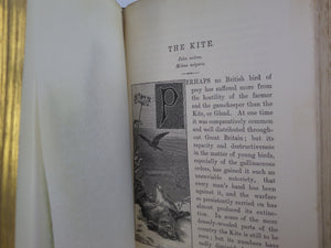 FAMILIAR WILD BIRDS BY WALTER SWAYSLAND 1883 FIRST EDITION LEATHER-BOUND IN FOUR VOLUMES