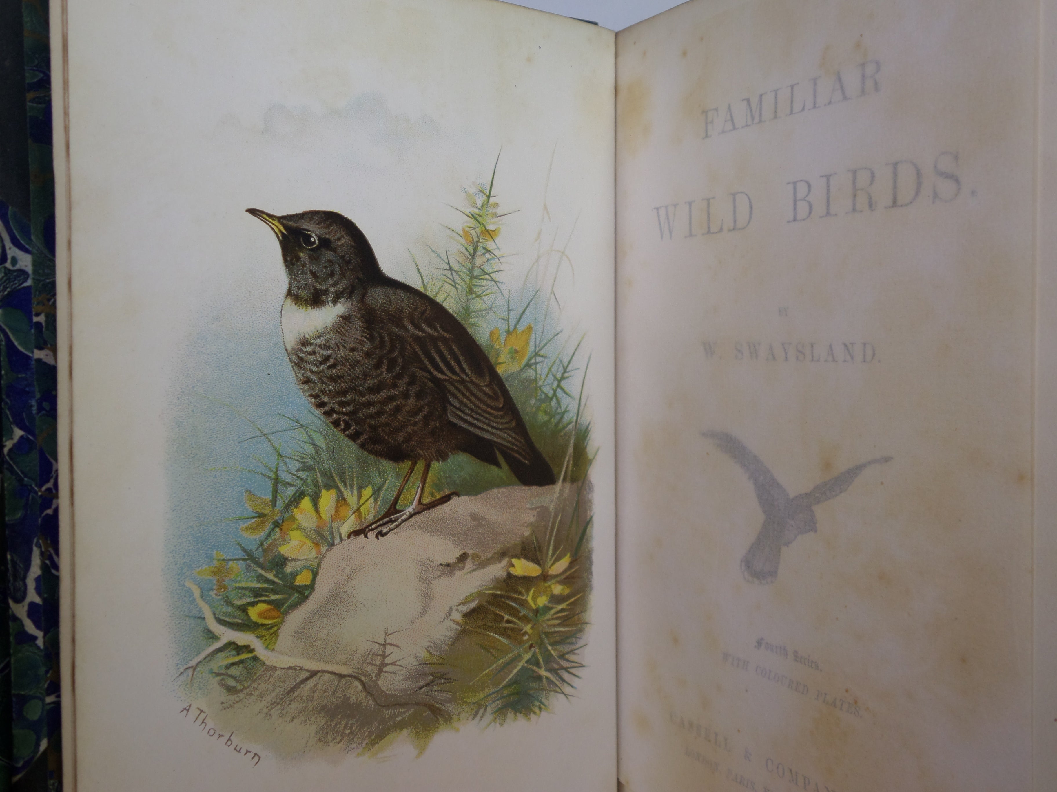 FAMILIAR WILD BIRDS BY WALTER SWAYSLAND 1883 FIRST EDITION LEATHER-BOUND IN FOUR VOLUMES