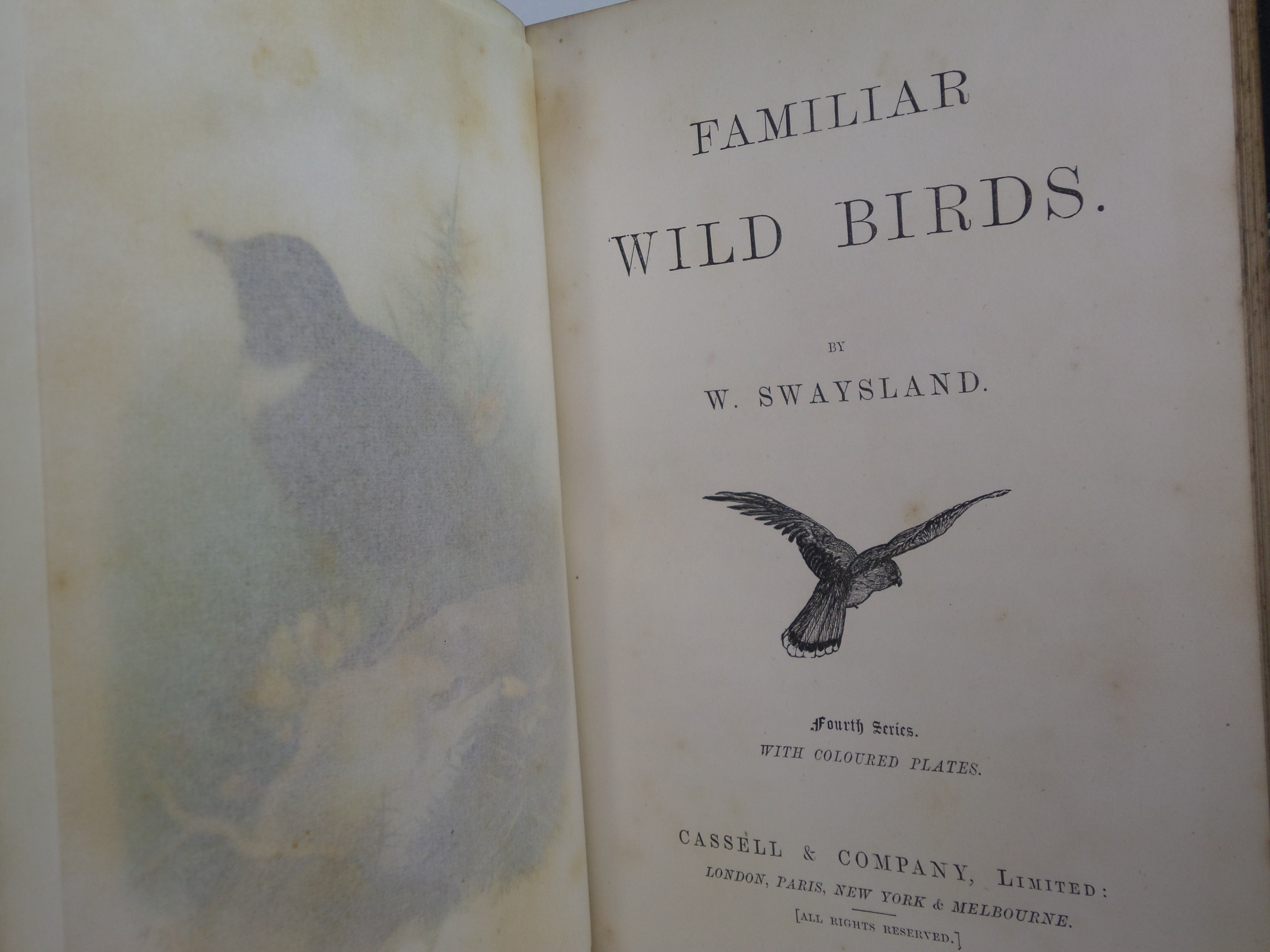 FAMILIAR WILD BIRDS BY WALTER SWAYSLAND 1883 FIRST EDITION LEATHER-BOUND IN FOUR VOLUMES