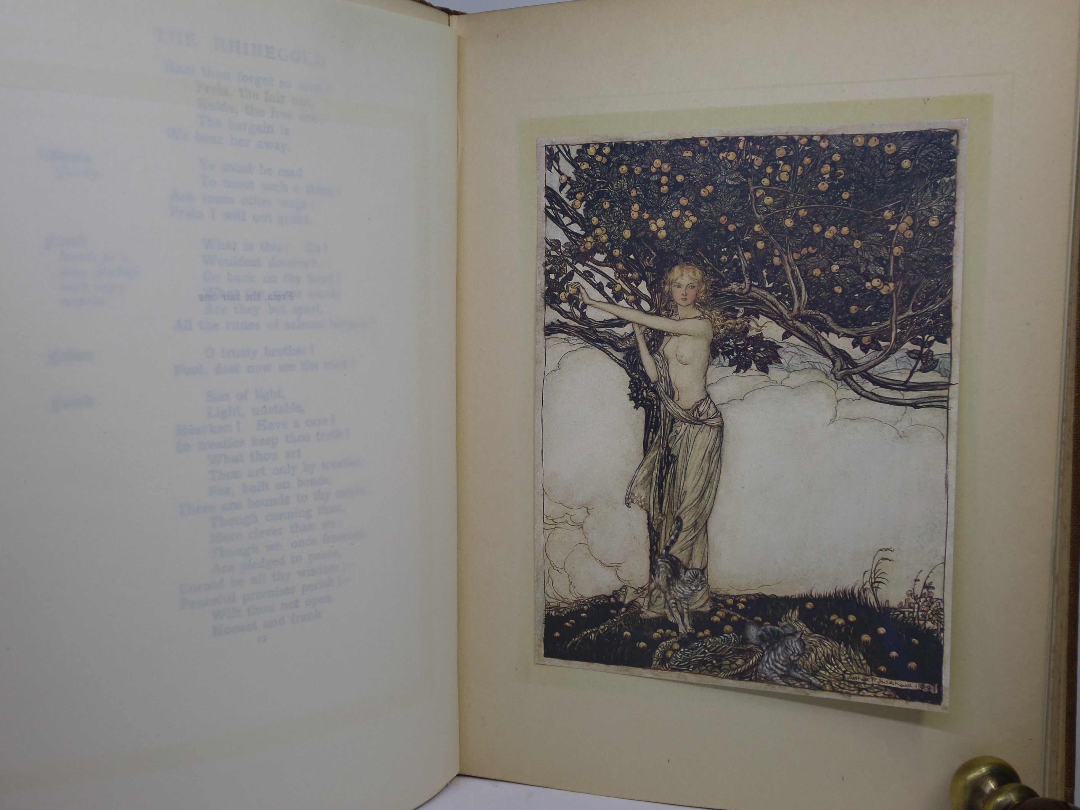 THE RHINEGOLD & THE VALKYRIE - SIEGFRIED & THE TWILIGHT OF THE GODS 1910-1911 ARTHUR RACKHAM FIRST EDITIONS