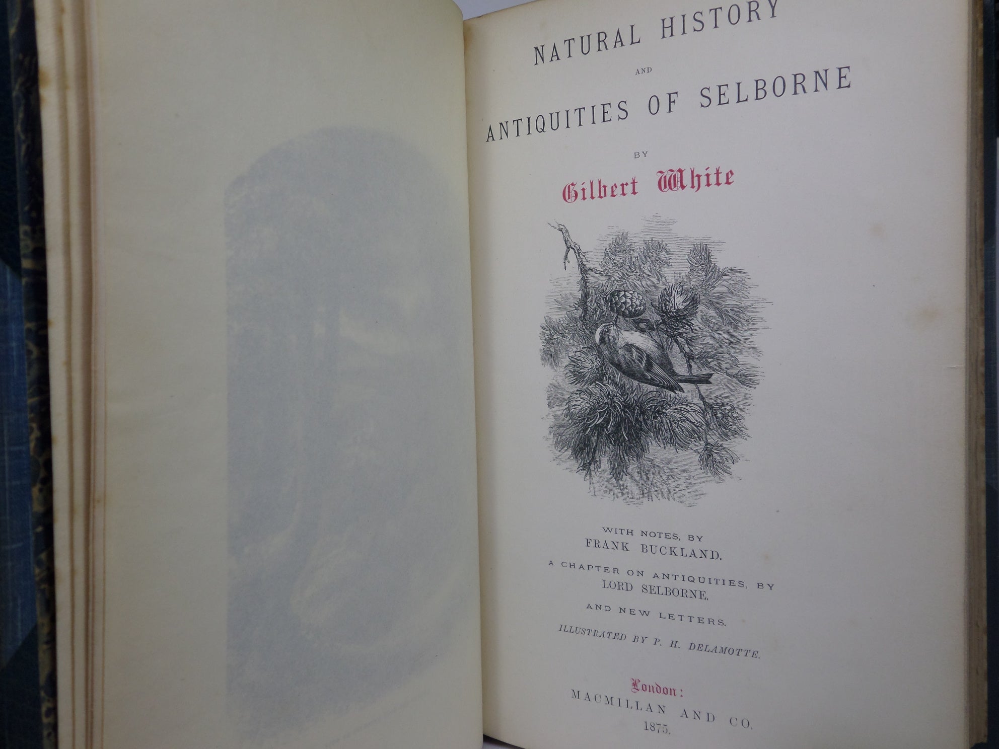 NATURAL HISTORY & ANTIQUITIES OF SELBORNE BY GILBERT WHITE 1875 EXTRA ILLUSTRATED, FINELY BOUND BY BAYNTUN