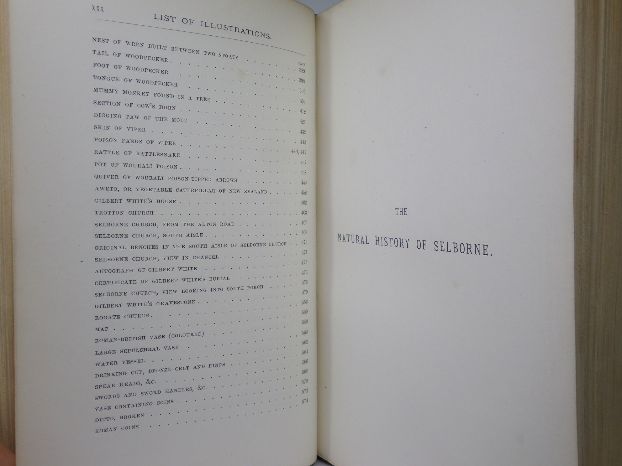 NATURAL HISTORY & ANTIQUITIES OF SELBORNE BY GILBERT WHITE 1875 EXTRA ILLUSTRATED, FINELY BOUND BY BAYNTUN