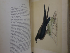 NATURAL HISTORY & ANTIQUITIES OF SELBORNE BY GILBERT WHITE 1875 EXTRA ILLUSTRATED, FINELY BOUND BY BAYNTUN