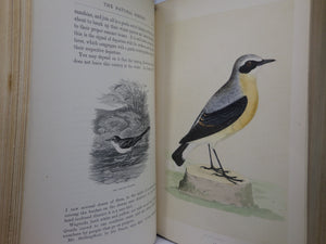 NATURAL HISTORY & ANTIQUITIES OF SELBORNE BY GILBERT WHITE 1875 EXTRA ILLUSTRATED, FINELY BOUND BY BAYNTUN