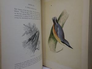 NATURAL HISTORY & ANTIQUITIES OF SELBORNE BY GILBERT WHITE 1875 EXTRA ILLUSTRATED, FINELY BOUND BY BAYNTUN