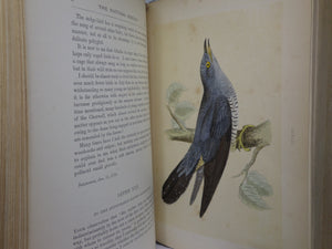 NATURAL HISTORY & ANTIQUITIES OF SELBORNE BY GILBERT WHITE 1875 EXTRA ILLUSTRATED, FINELY BOUND BY BAYNTUN