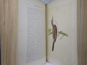 NATURAL HISTORY & ANTIQUITIES OF SELBORNE BY GILBERT WHITE 1875 EXTRA ILLUSTRATED, FINELY BOUND BY BAYNTUN