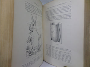 NATURAL HISTORY & ANTIQUITIES OF SELBORNE BY GILBERT WHITE 1875 EXTRA ILLUSTRATED, FINELY BOUND BY BAYNTUN