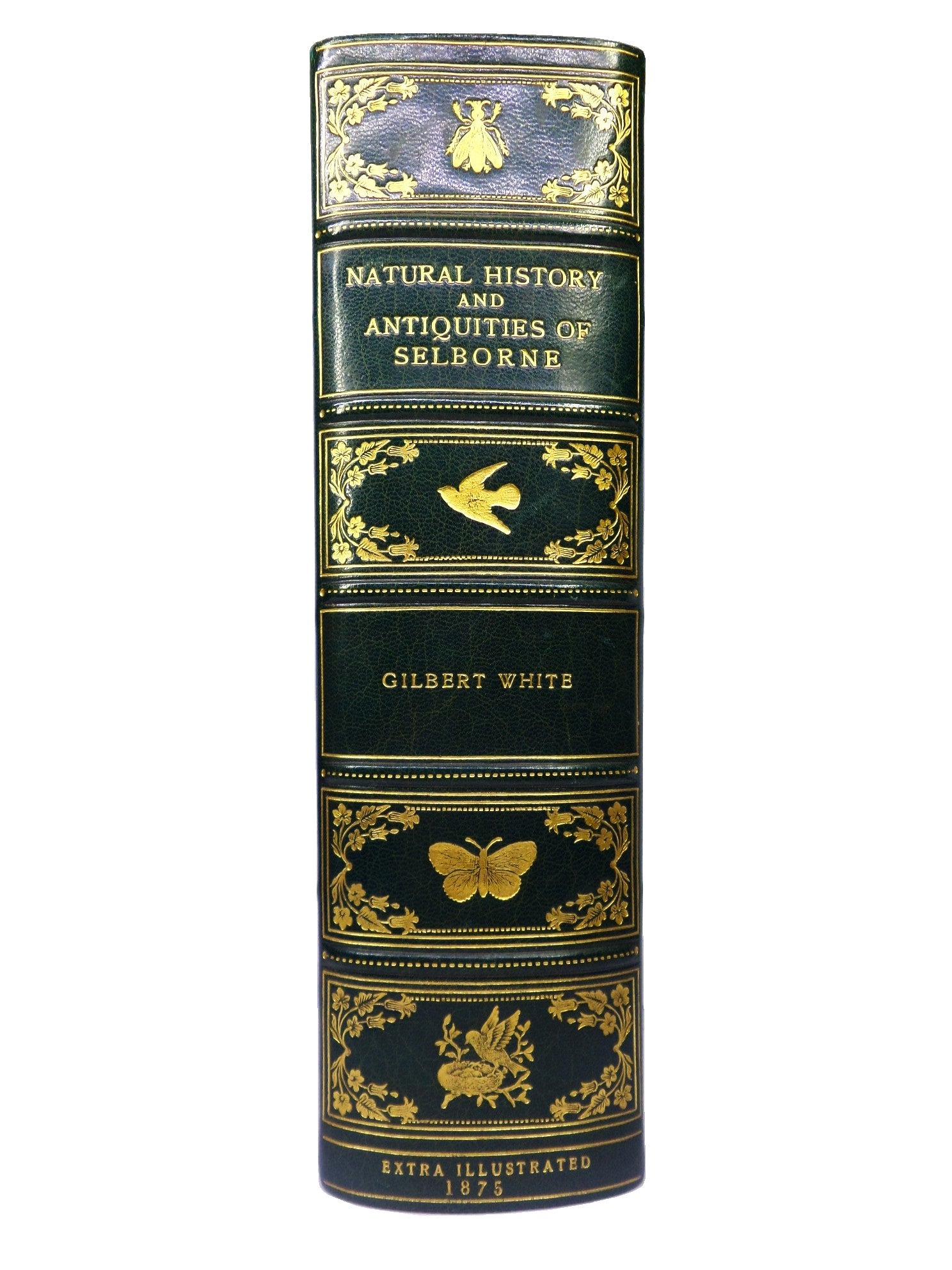 NATURAL HISTORY & ANTIQUITIES OF SELBORNE BY GILBERT WHITE 1875 EXTRA ILLUSTRATED, FINELY BOUND BY BAYNTUN