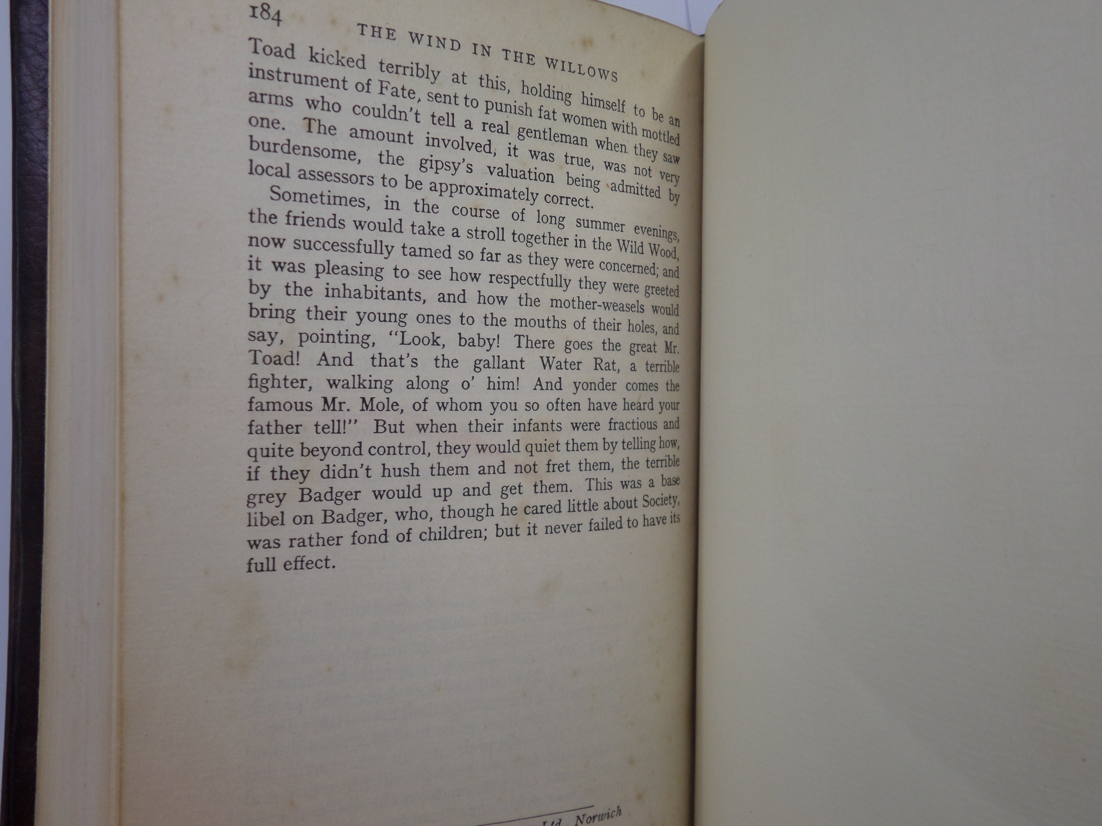 THE WIND IN THE WILLOWS BY KENNETH GRAHAME 1934 FINE LEATHER BINDING