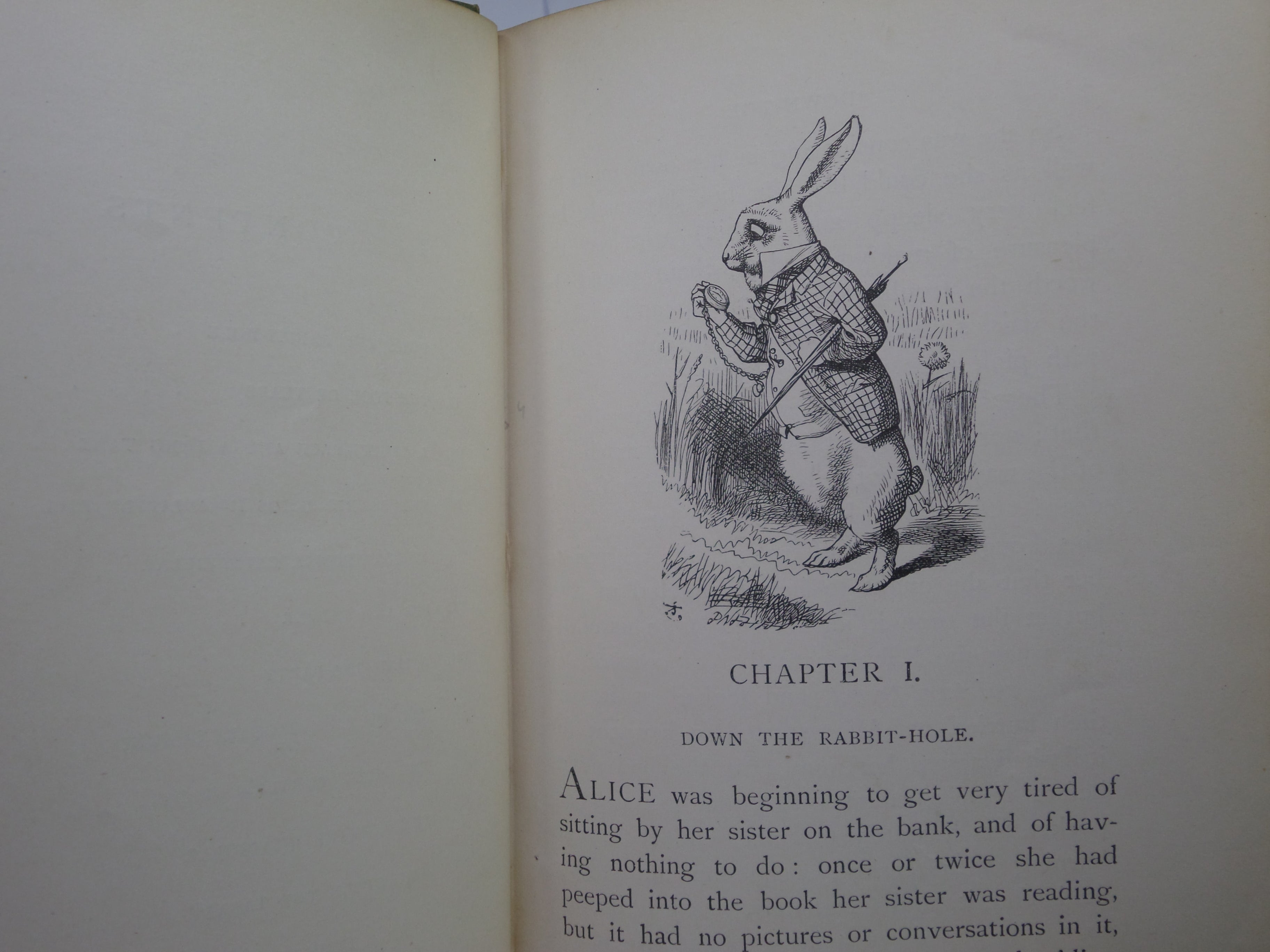 ALICE'S ADVENTURES IN WONDERLAND BY LEWIS CARROLL 1893