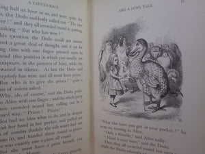 ALICE'S ADVENTURES IN WONDERLAND BY LEWIS CARROLL 1893