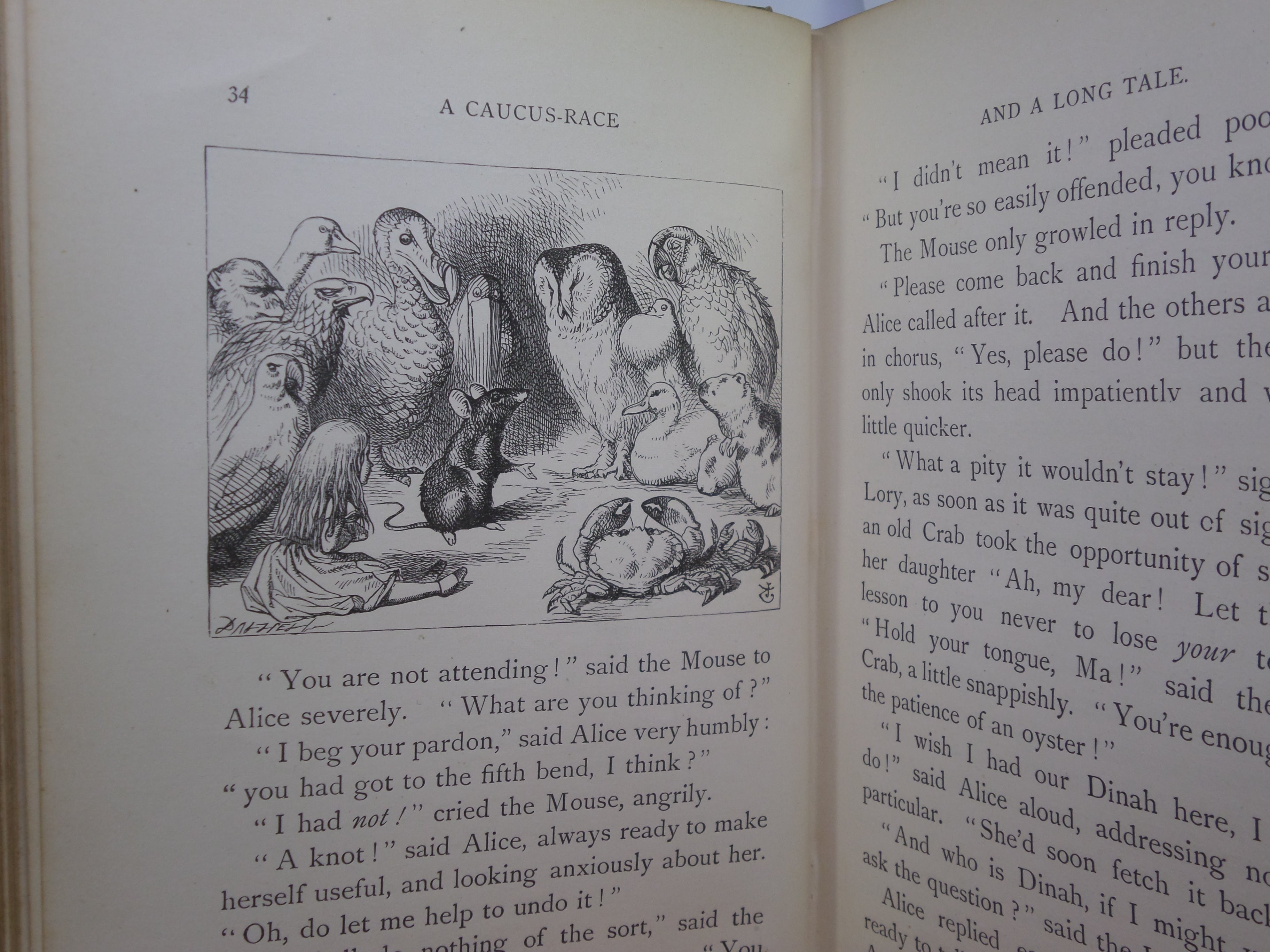 ALICE'S ADVENTURES IN WONDERLAND BY LEWIS CARROLL 1893