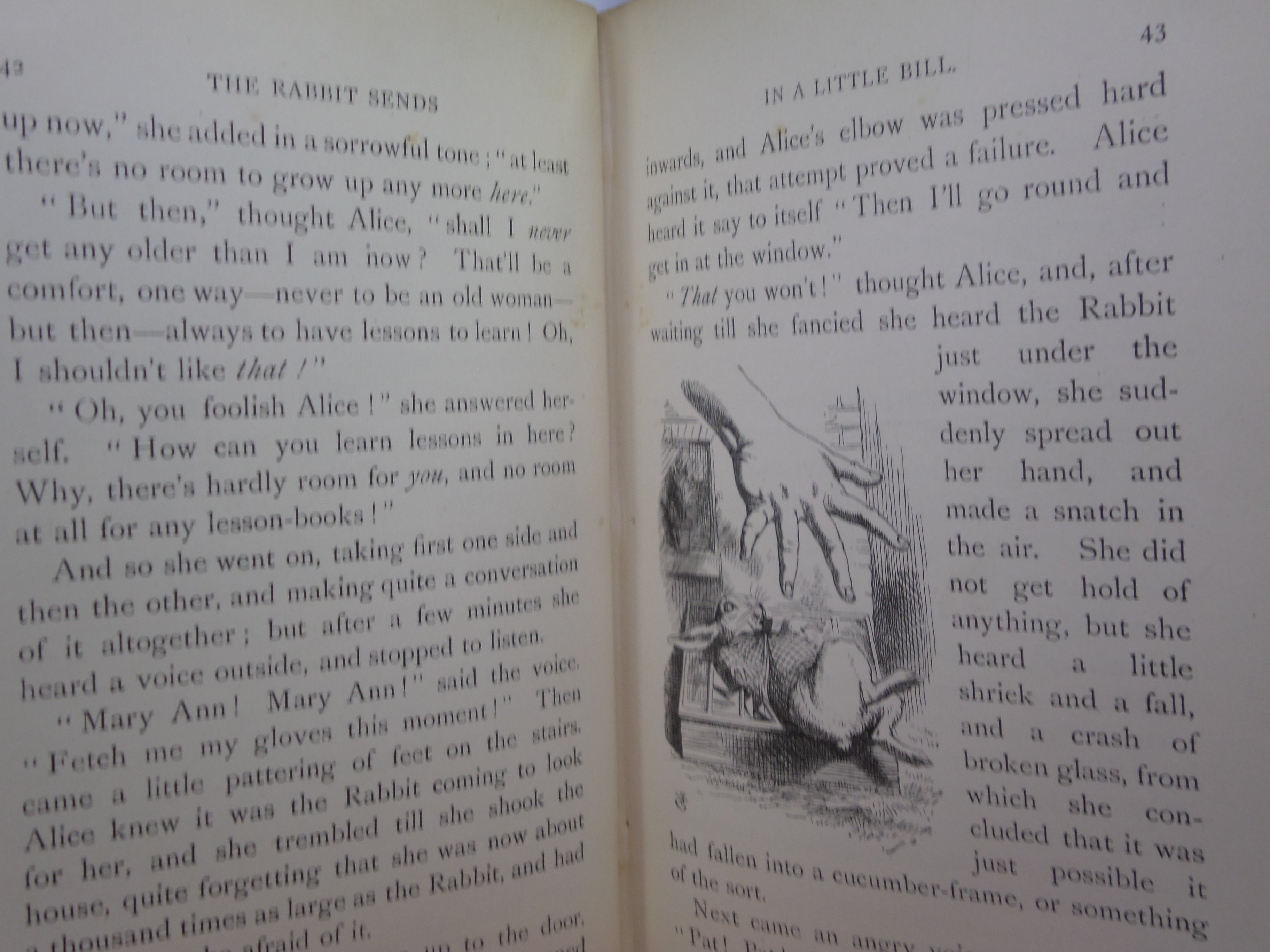 ALICE'S ADVENTURES IN WONDERLAND BY LEWIS CARROLL 1893