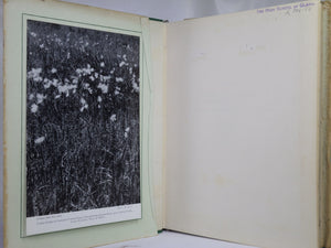 A SELECTION OF SOME 900 BRITISH AND IRISH MOUNTAIN TOPS 1954-62 WILLIAM DOCHARTY