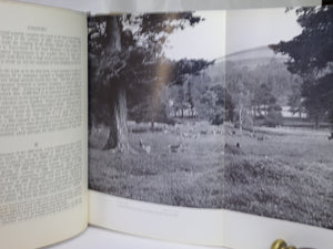 A SELECTION OF SOME 900 BRITISH AND IRISH MOUNTAIN TOPS 1954-62 WILLIAM DOCHARTY
