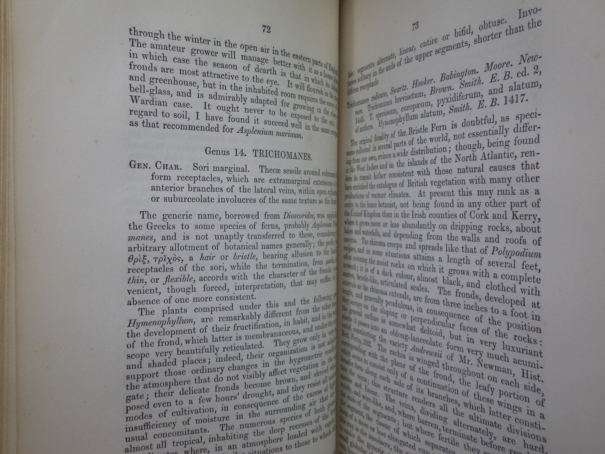 THE FERNS OF GREAT BRITAIN BY CHARLES JOHNSON 1855 FIRST EDITION, ILLUSTRATED BY JOHN SOWERBY, FINE LEATHER BINDING