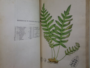 THE FERNS OF GREAT BRITAIN BY CHARLES JOHNSON 1855 FIRST EDITION, ILLUSTRATED BY JOHN SOWERBY, FINE LEATHER BINDING