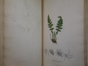 THE FERNS OF GREAT BRITAIN BY CHARLES JOHNSON 1855 FIRST EDITION, ILLUSTRATED BY JOHN SOWERBY, FINE LEATHER BINDING