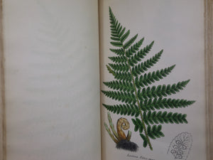 THE FERNS OF GREAT BRITAIN BY CHARLES JOHNSON 1855 FIRST EDITION, ILLUSTRATED BY JOHN SOWERBY, FINE LEATHER BINDING