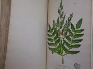 THE FERNS OF GREAT BRITAIN BY CHARLES JOHNSON 1855 FIRST EDITION, ILLUSTRATED BY JOHN SOWERBY, FINE LEATHER BINDING