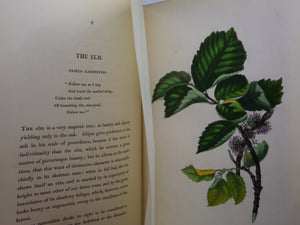 SYLVAN MUSINGS; OR, THE SPIRIT OF THE WOODS BY MRS REBECCA HEY 1849 FINE BINDING